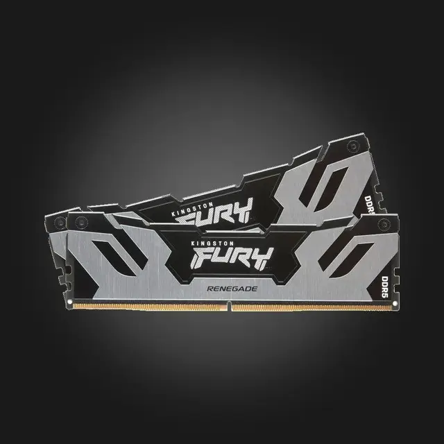 Kingston FURY Renegade Silver 96GB — Тбилиси — 6 100 ₾