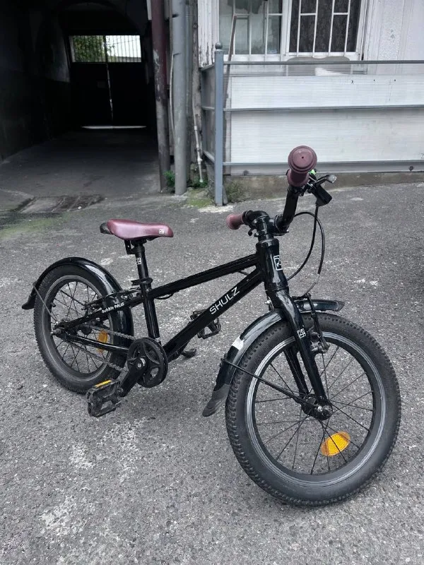 Детский велосипед SHULZ Bubble 16 Race