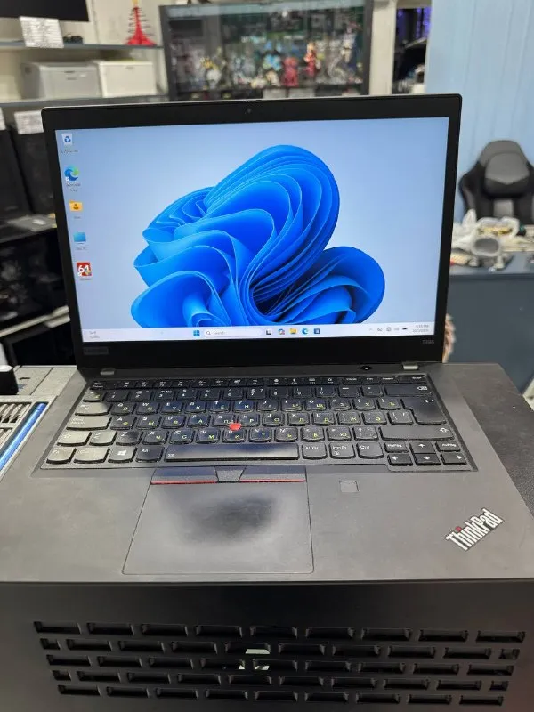 Lenovo ThinkPad T495