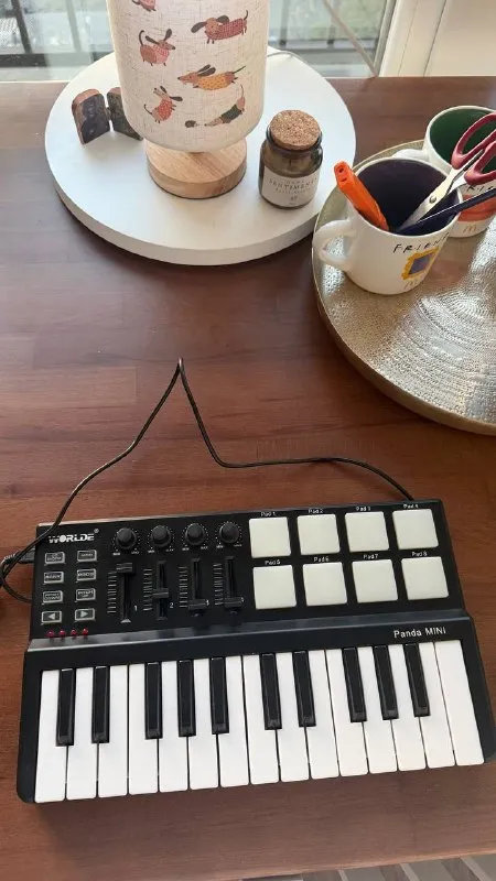 Midi-клавиатура Worlde Panda Mini
