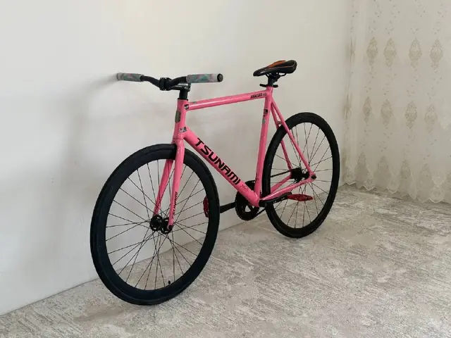 Тсуник снм100 — Астана — 110 000 ₸