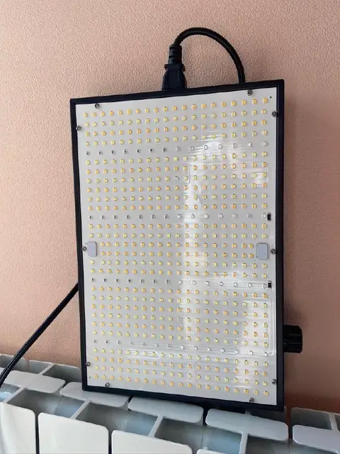 Лампа для растений — Tbilisi — 140 ₾
