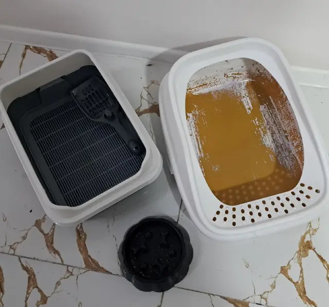 2 кошачьих лотка и миска — Батуми