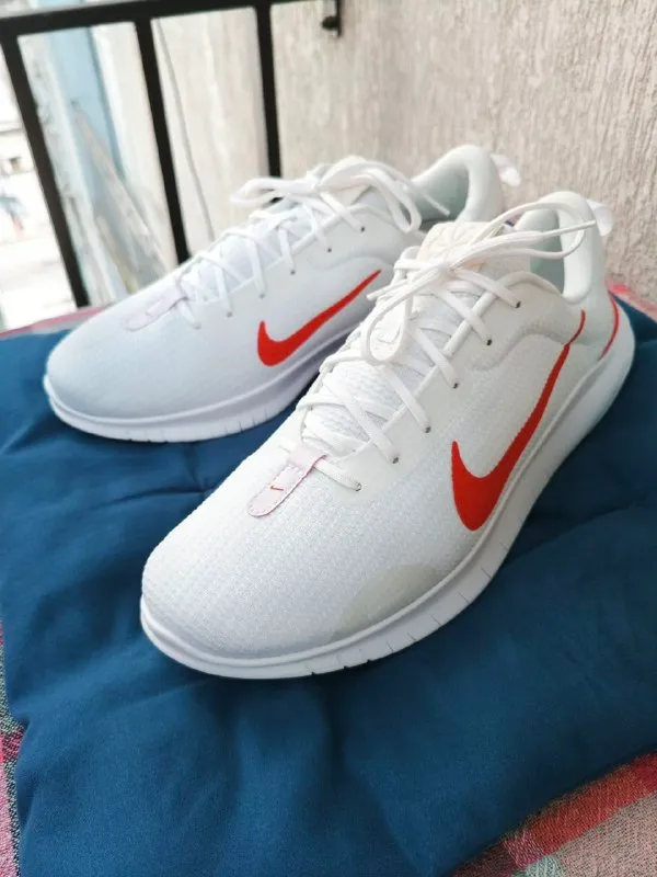 Мужские кроссовки Nike Flex Experience Run 12
