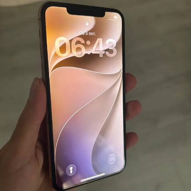 IPhone 11 Pro Max 256GB Gold — Батуми — 420 ₾