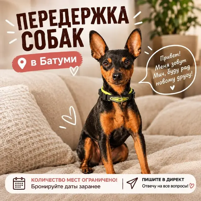 Домашняя передержка собак в Батуми — Батуми — 70 ₾