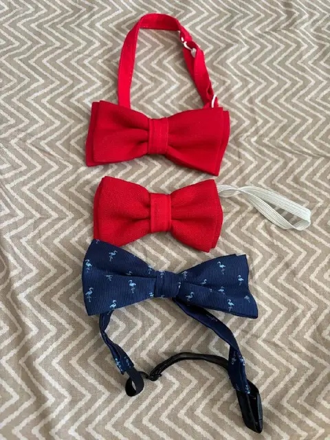 Бабочки — Тбилиси — 15 ₾