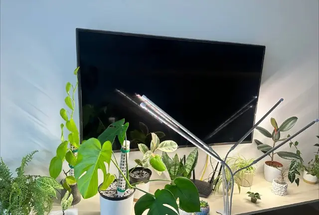 Лампа для растений — Тбилиси — 170 ₾