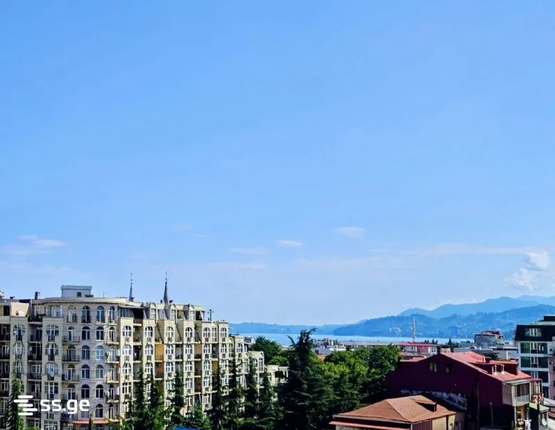 Квартира в Батуми, ул. Важа-Пшавела, 51