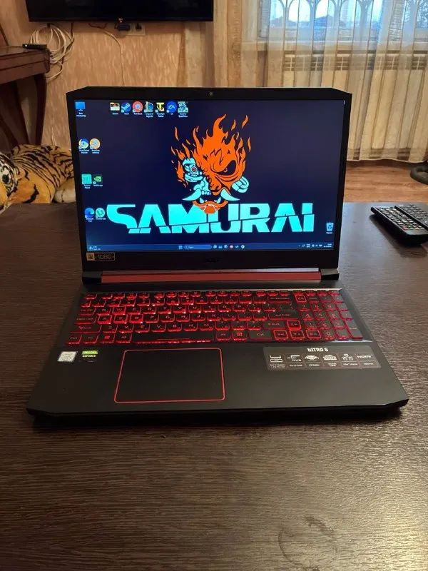 Acer Nitro 5 (AN515-54-599P)