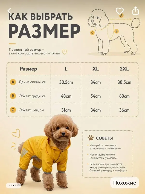 Дождевик для собаки