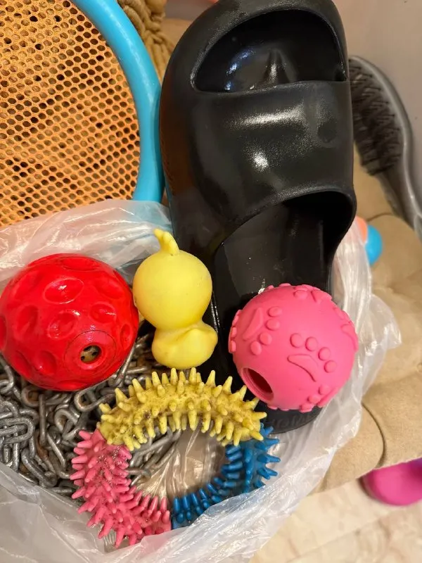 Игрушки для собак