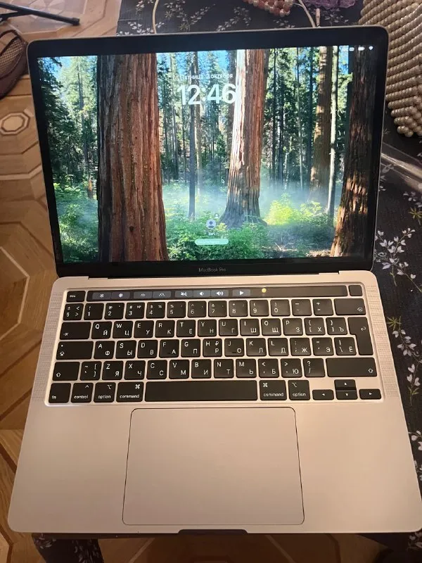 Apple MacBook Pro (A2251)