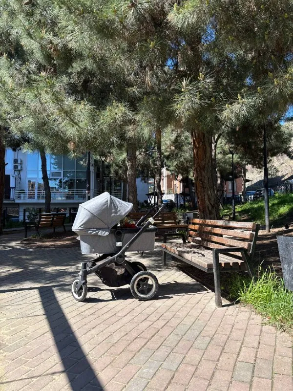 Коляска 2в1 Bugabo Buffalo
