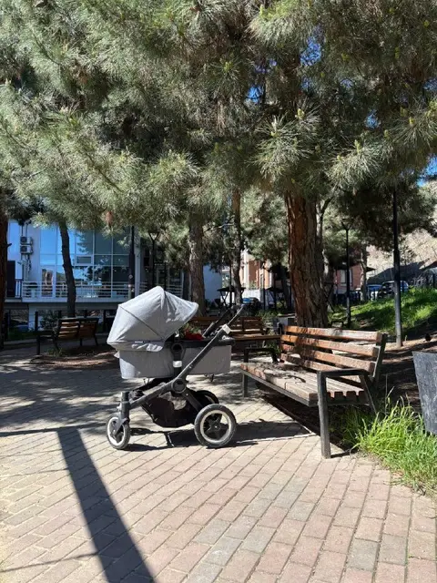 Коляска 2в1 Bugabo Buffalo — Тбилиси — 600 ₾