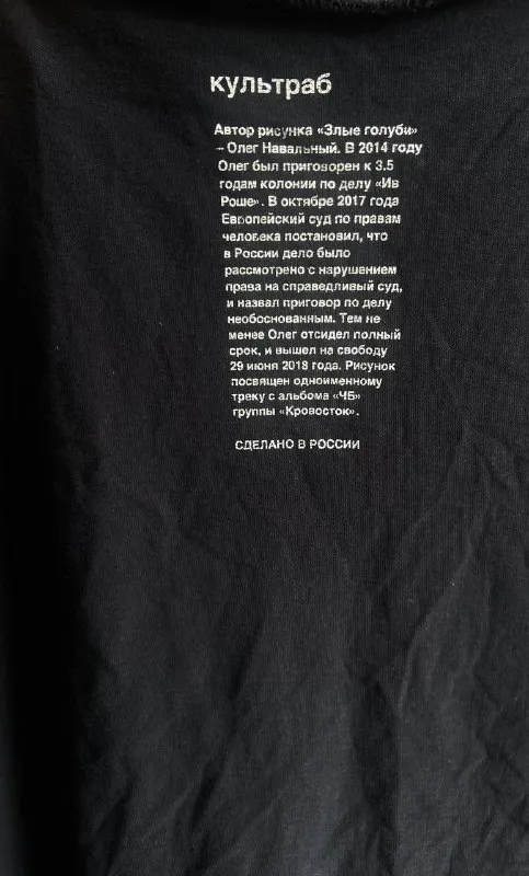Оригинальная футболка «ЗЛЫЕ ГОЛУБИ»