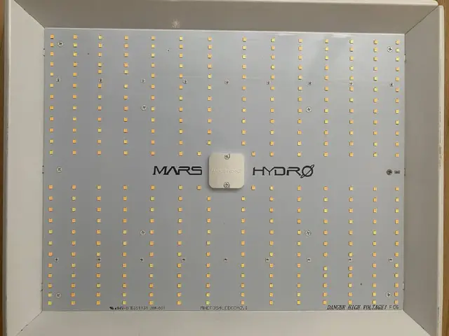 Mars Hydro TS 1000 grow lamp — Батуми — 250 ₾