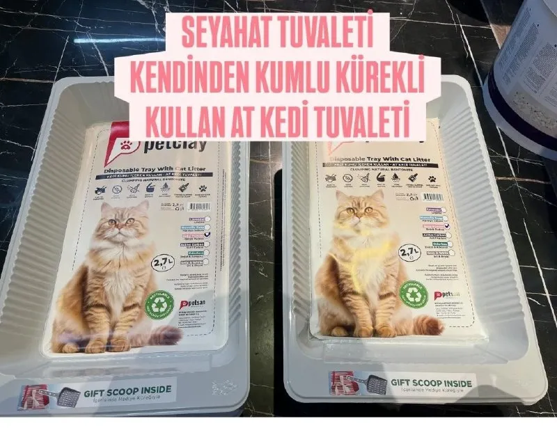Kullan at kedi kumu