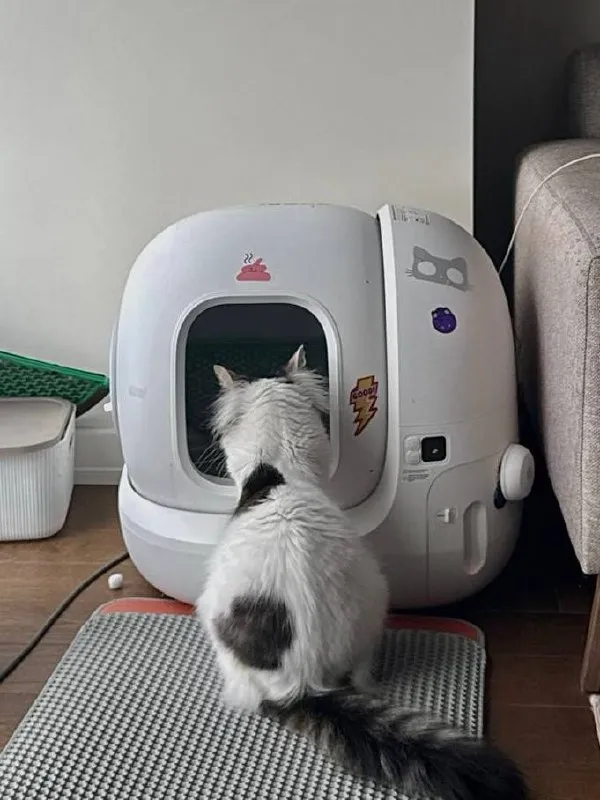 Автоматический туалет Petkit Pura Max 2