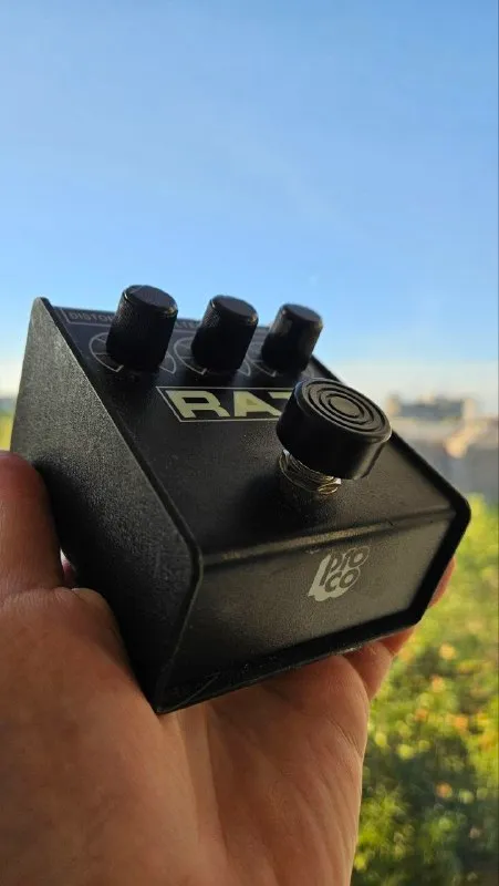 Rat 2