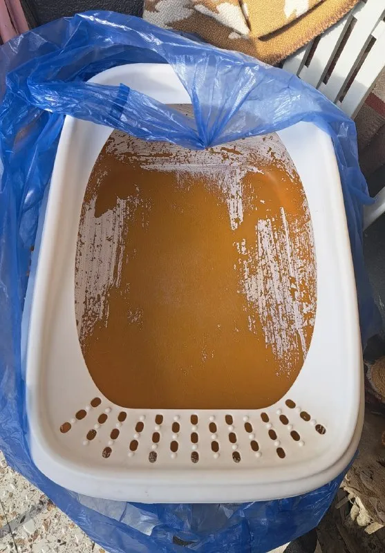 Кошачий лоток большой