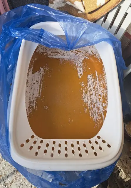 Кошачий лоток большой — Батуми