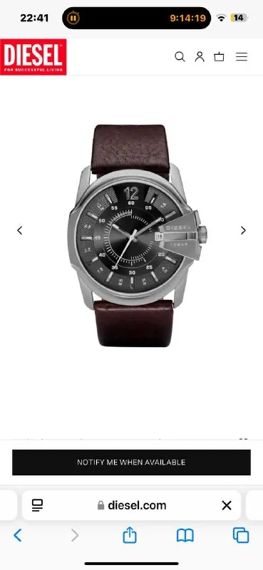 Мужские часы Diesel DZ1206