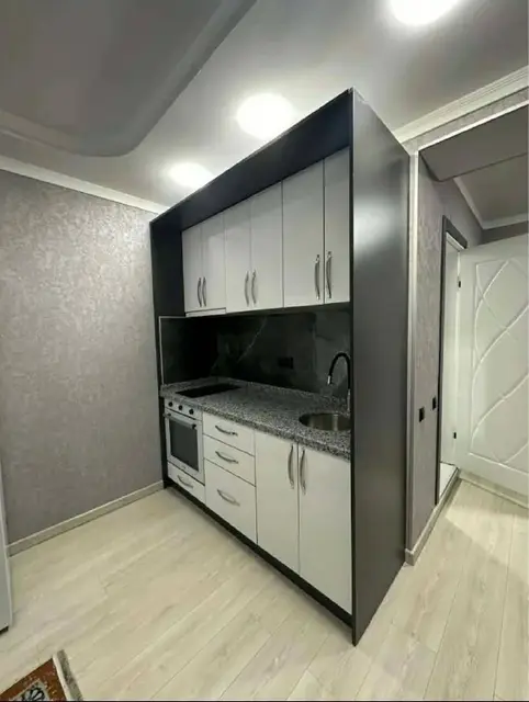 1+1 в Calligraphy Towers — Батуми — 600 $