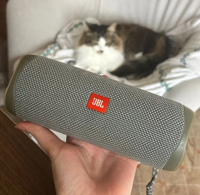 JBL FLIP 5 Wireless Bluetooth Speaker — Batumi — 320 ₾