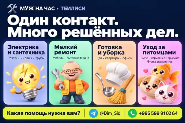 Муж на час / Бытовые услуги / Петситтинг — Tbilisi