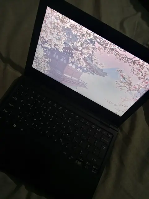 Ноутбук acer — Batumi — 220 ₾