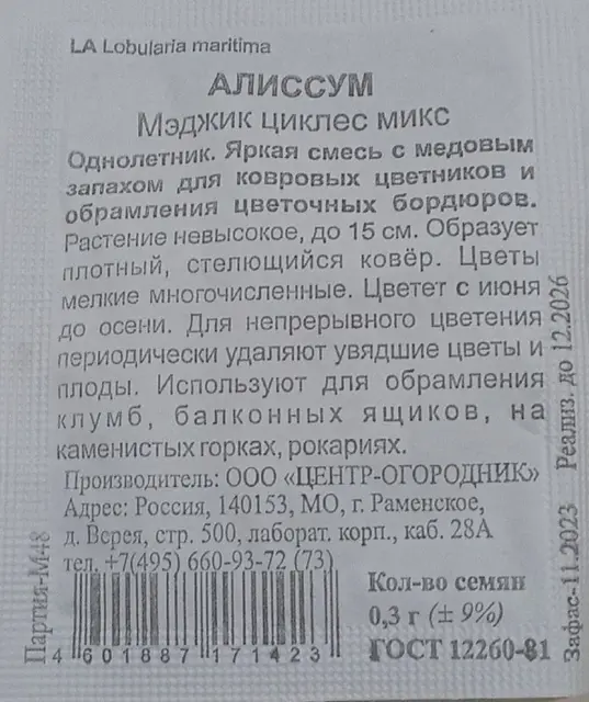 Семена Алиссум Мэджик циклес микс — Батуми