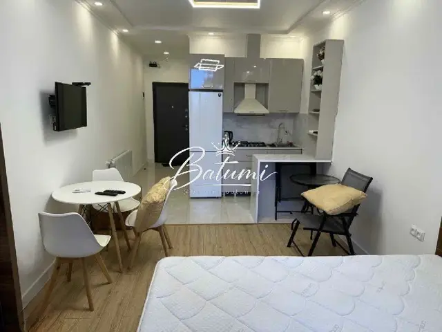Студия — Батуми — 350 $