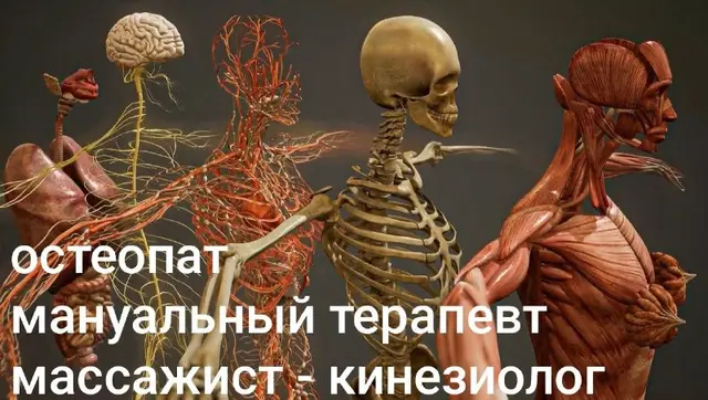 Работа с телом как с живой системой — Батуми