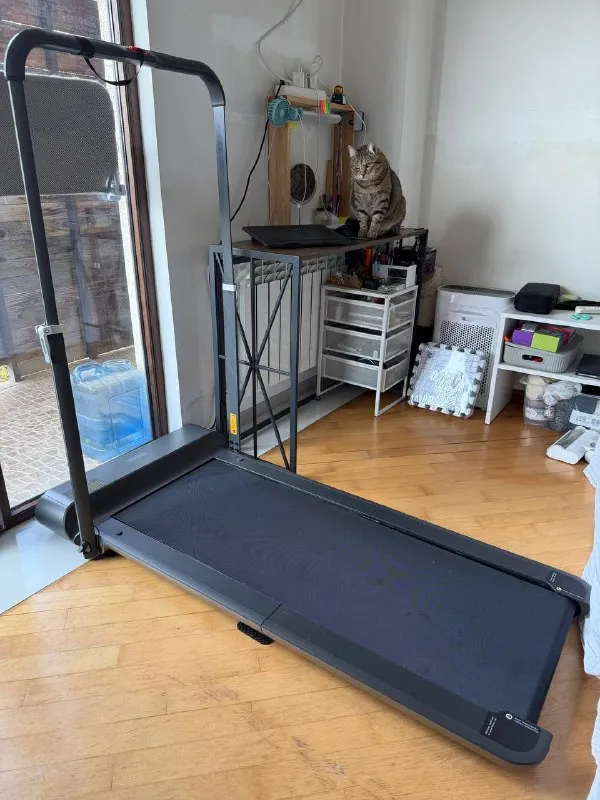 Беговая дорожка Xiaomi Kingsmith WalkingPad Treadmil
