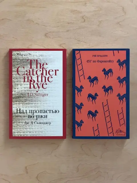 Над пропастью во ржи Дж. Д. Сэлинджер — Tbilisi — 20 ₾