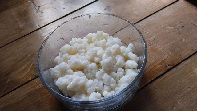 Кефирный гриб — Батуми
