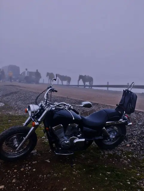 Honda Shadow 750VT — Тбилиси — 3 300 $