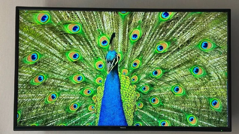 Телевизор 40» NEOS со Smart TV