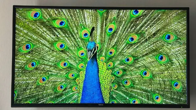 Телевизор 40» NEOS со Smart TV — Батуми — 350 ₾
