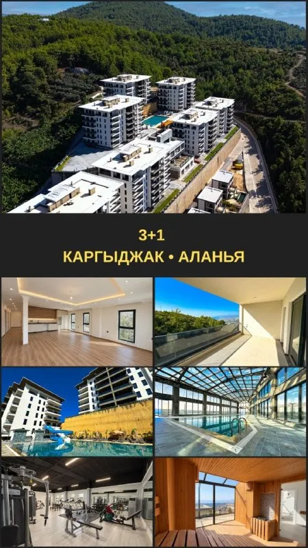 3+1 в престижном проекте Olimp City
