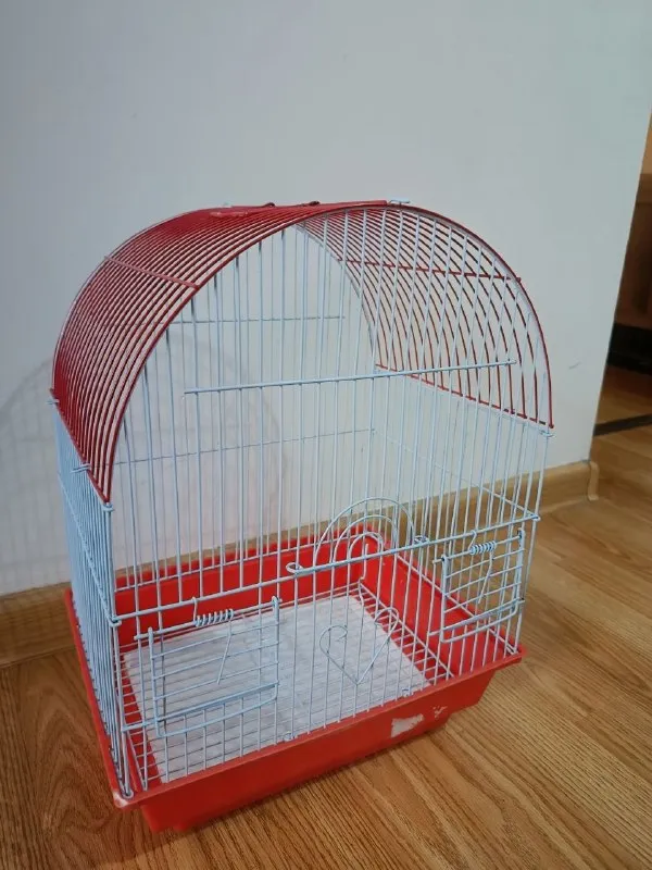 Клетка