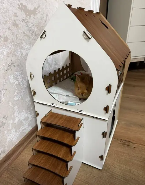 Домашний ласковый кролик — Анталия