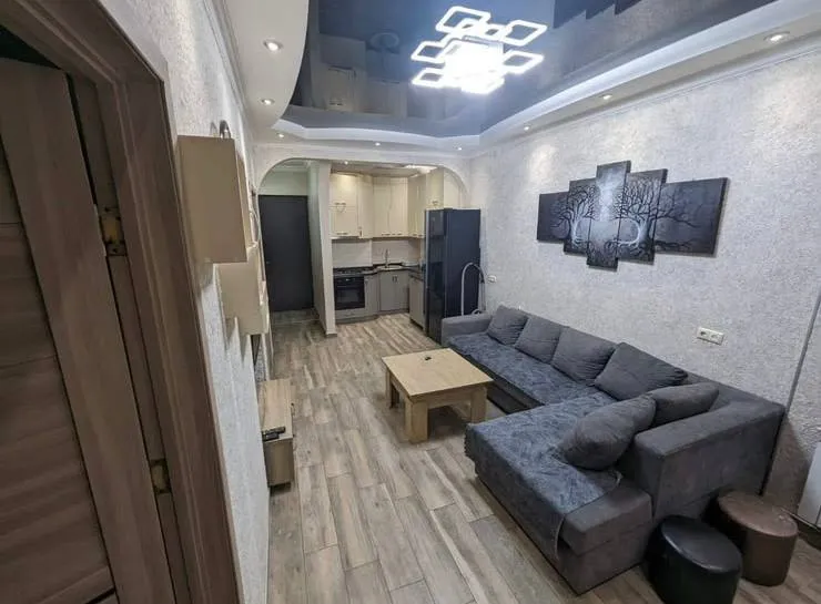 Квартира 2+1 по улице Багратиони, 113а