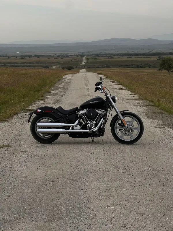 2023 Harley-Davidson Softail Standart FXST