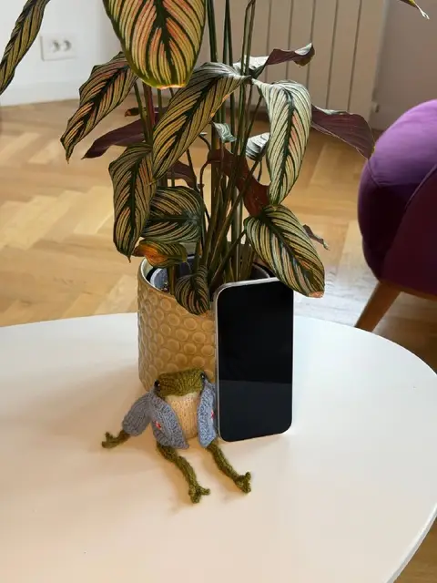 IPhone 17 Pro — Белград — 1 000 €