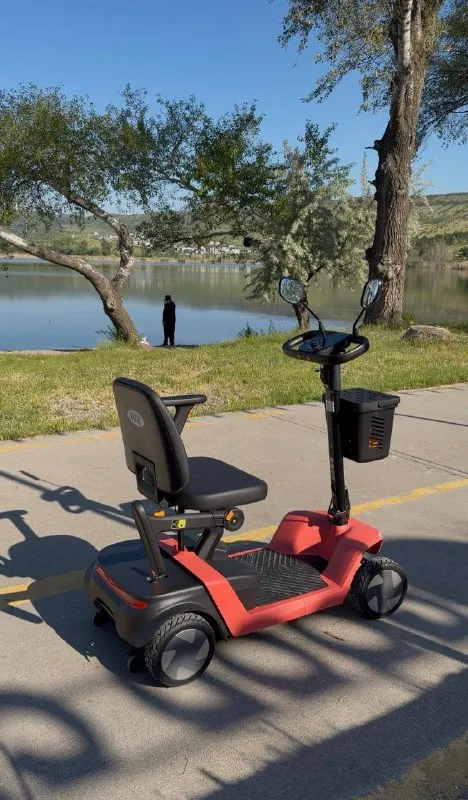Vocic D62 500W Dual Motor Electric Mobility Scooter
