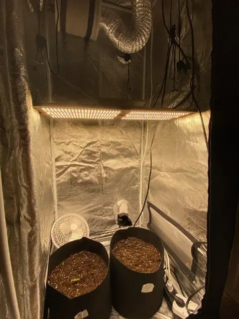 Grow box 60×60×100 — Батуми — 350 ₾