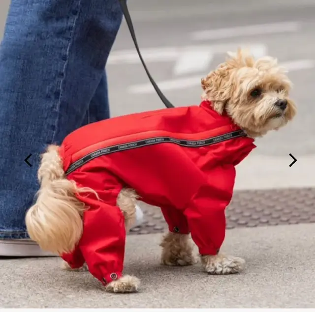 Зимний комбинезон Canada Pooch — Батуми — 260 ₾