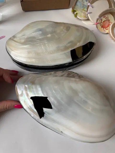 Шкатулки из ракушек — Тбилиси
